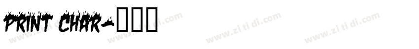 print char字体转换